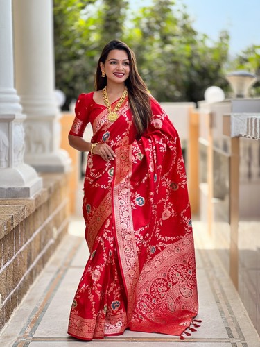 Sari pakistani wedding indian - sari,