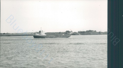 Panamanian sea ems off - panamanian,