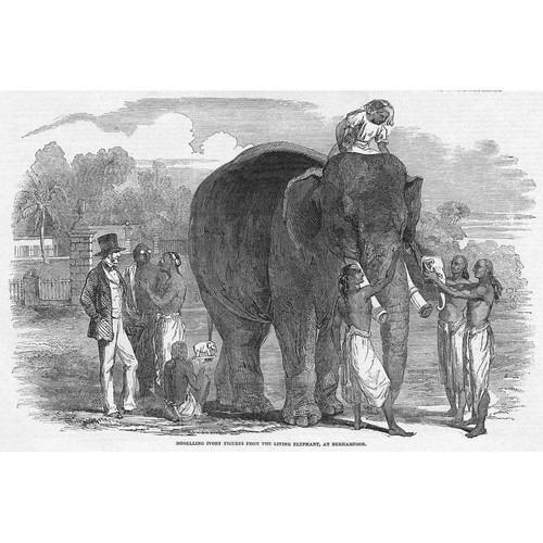 India modelling ivory figures - modelling,