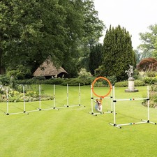 3 PCsSuit Portable Pet Agility