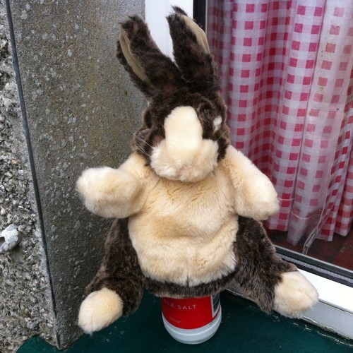 Baby dutch rabbit - baby, puppet