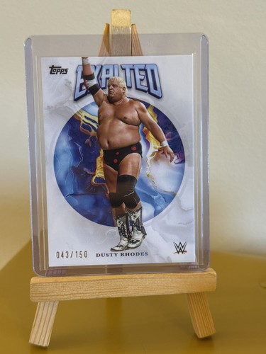 Dusty rhodes 2025 - dusty,