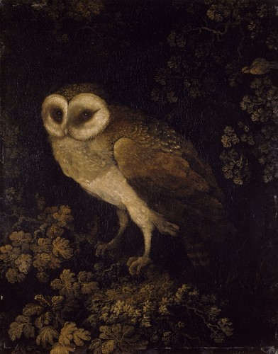 1700s antique owl - antique, owl”