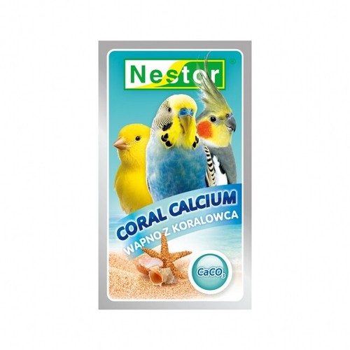 Bird mix complementary food - bird, of