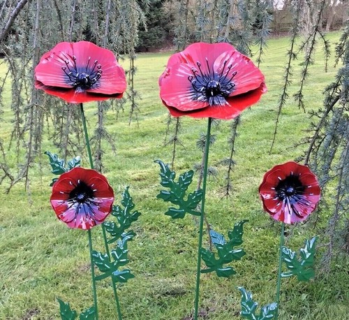 Large and small - poppy, flower