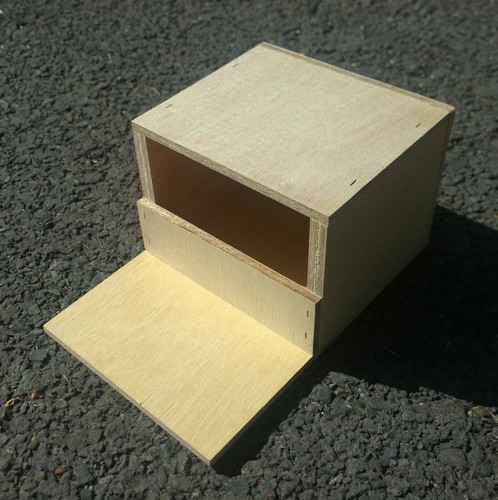 Finch nest nesting breeding - nest,