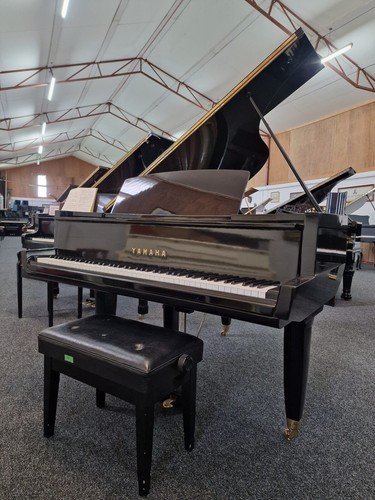 Yamaha rare antonin - 20,