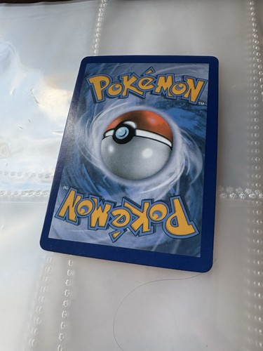 Rainbow charizard pokémon - rainbow,