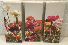Set of 3 Floral Wall Canvases 16" x 6.5" x 1.5" Decorative Art Hang Ready
