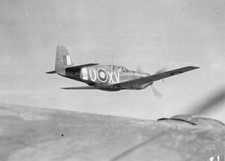P51 MUSTANG - Original Aircraft photo