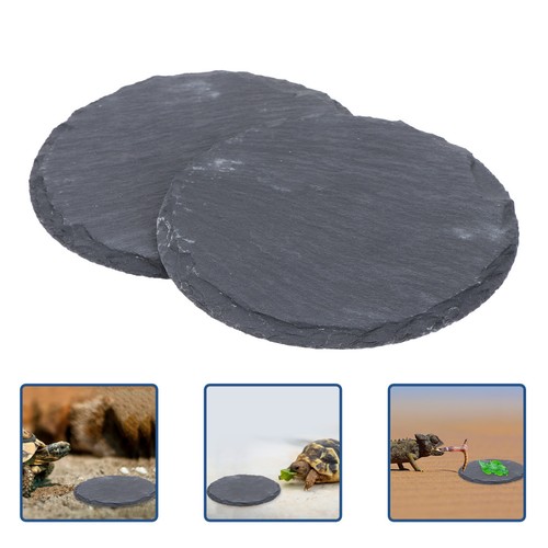 Pcs snake basking stone - pcs,