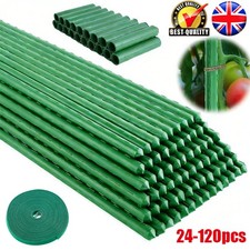 24-120X Garden Plant Stakes