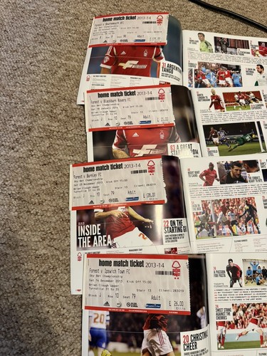 Nottingham forest 2013 2014 - nottingham, 2013/2014