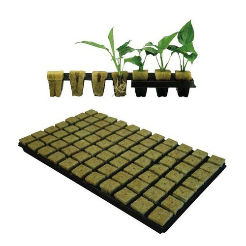 Grodan rockwool tray - 77, x