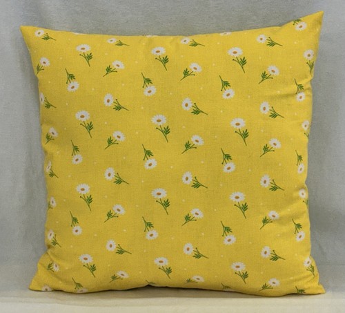 Spring summer daisy flower - summer,