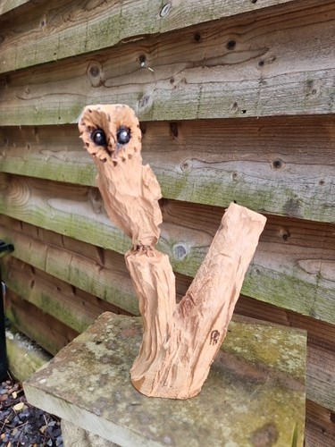 Chainsaw carved owl - chainsaw,