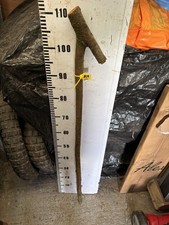 Blackthorn Huge SHANK WALKING