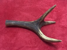ONE PIECE OF DEER ANTLER