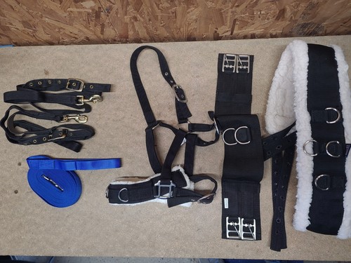 Lunging joblot pony size - joblot,pony,