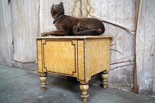 Antique Early Victorian Birdseye Maple Simulated Painted Pine Commode c.1840-50