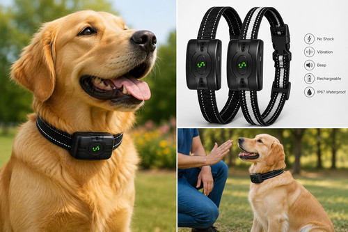 Pack anti bark dog collar - anti,
