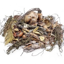 South American Blackwater Aquarium Fish Tank Extra Large Premium Botanical Pack