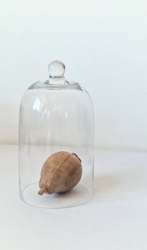 Glass display cloche bell jar - glass,