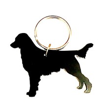 Flat Coated Retriever Dog