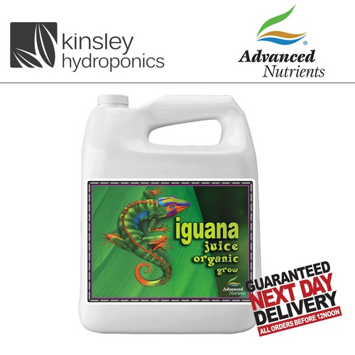 Iguana grow litre - iguana,