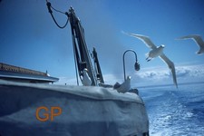 XX113-j Old 35mm Slide Photo-