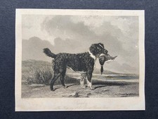 Antique 1846 print retriever - antique,