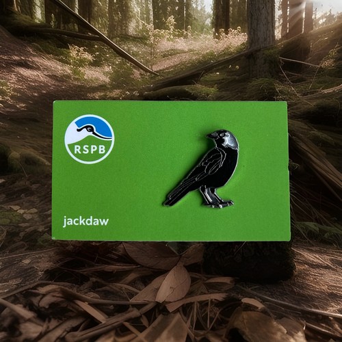 Rspb pin badge - rspb-pin,