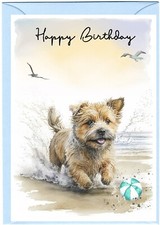 Norfolk Terrier Dog (4"x 6") Birthday Card with blank inside - by Starprint
