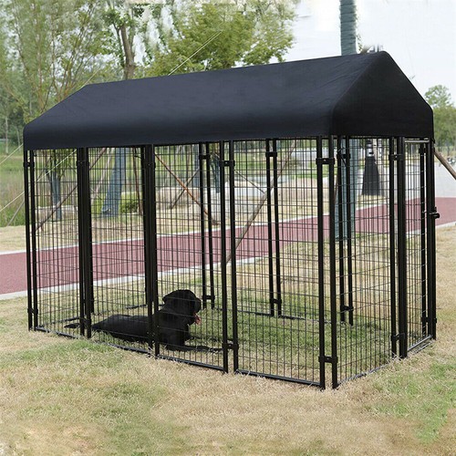 Heavy duty xxl dog - xxl,