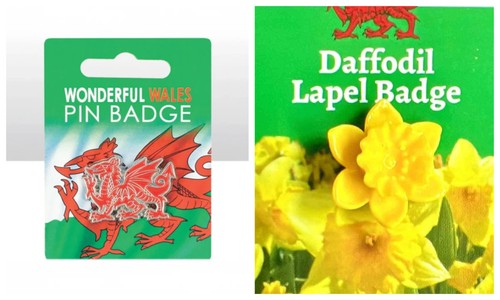 New welsh wales david day - david's,