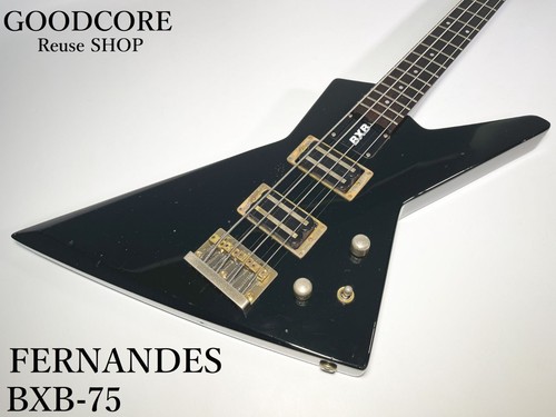 Fernandes the function bxb - the, 75