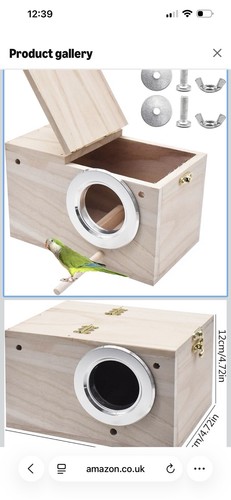 Natural wooden parakeet - parakeet,