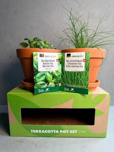 Terracotta pots seeds - &, |
