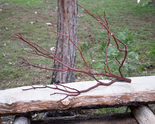 Manzanita thin branch for - thin,