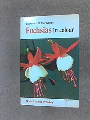Fuchsias colour proudley - colour,,
