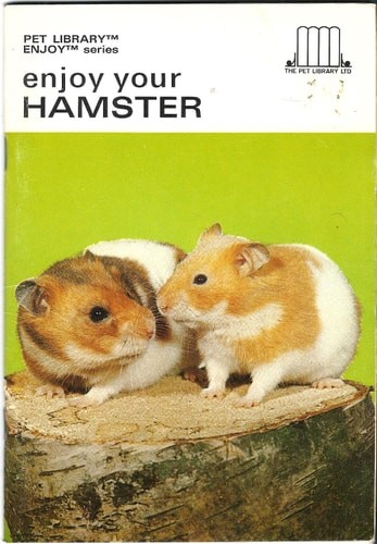 Land hermit crabs nash - land,