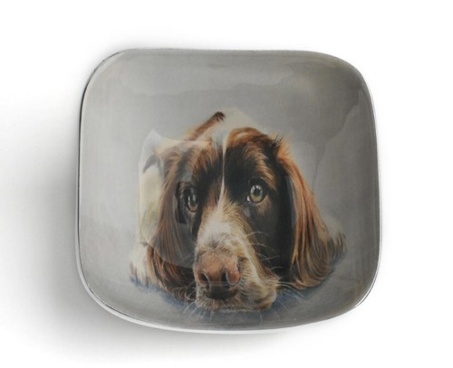 Spaniel square bowl ornament