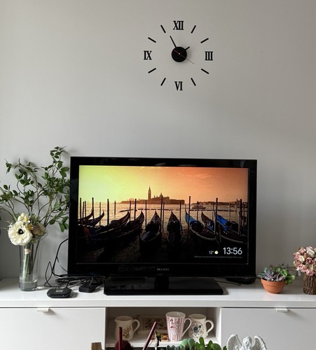 Bush - bush, tv