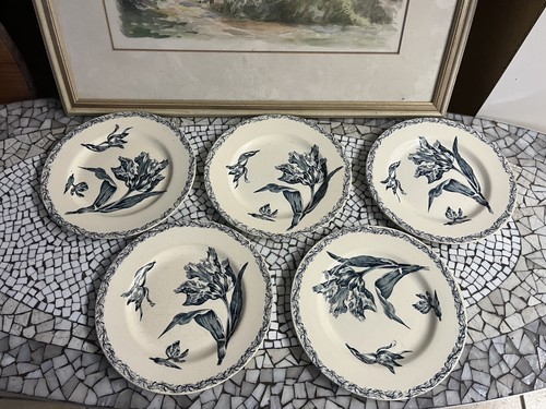 Five antique luneville tulipe - antique,
