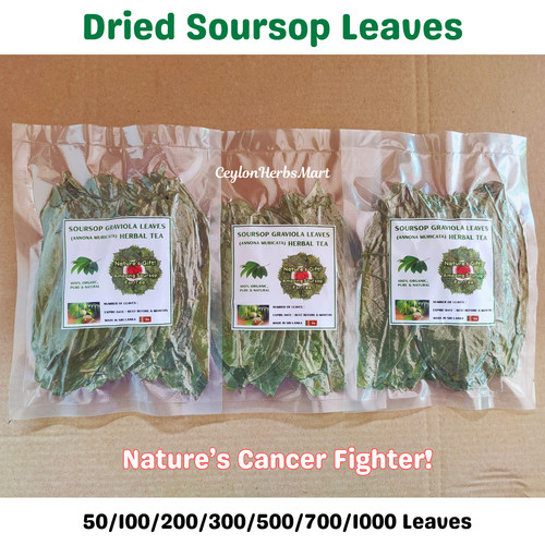 Dried soursop leaf organic - soursop,