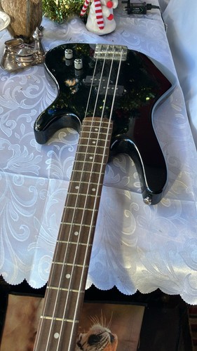 Washburn bass and peavy - bass,