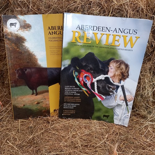Aberdeen angus world - aberdeen,