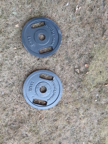 15kg bodymax cast iron - x,