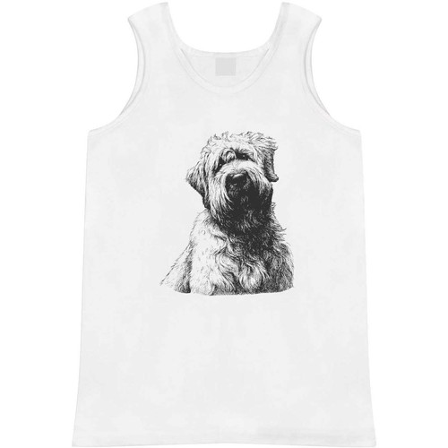 Soft coated wheaten terrier - 'soft,