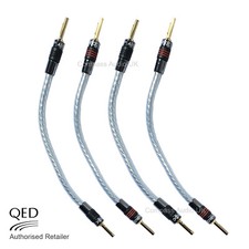 QED GENESIS Silver Spiral